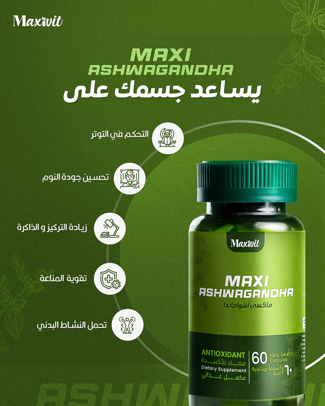 Maxi Ashwagandha - 60 Capsules